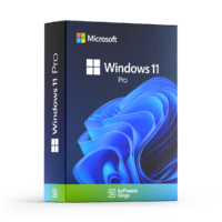 Windows 11 Pro