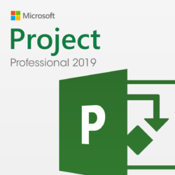 Microsoft Project 2019 Professional