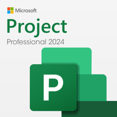 Microsoft Project 2024 Professional